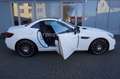 Mercedes-Benz SLC 250 AMG Pano/Airscarf/Night Paket/LED Weiß - thumbnail 8
