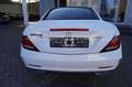 Mercedes-Benz SLC 250 AMG Pano/Airscarf/Night Paket/LED Weiß - thumbnail 5