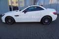 Mercedes-Benz SLC 250 AMG Pano/Airscarf/Night Paket/LED Weiß - thumbnail 15