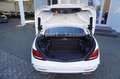 Mercedes-Benz SLC 250 AMG Pano/Airscarf/Night Paket/LED Weiß - thumbnail 11