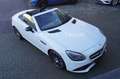 Mercedes-Benz SLC 250 AMG Pano/Airscarf/Night Paket/LED Weiß - thumbnail 16