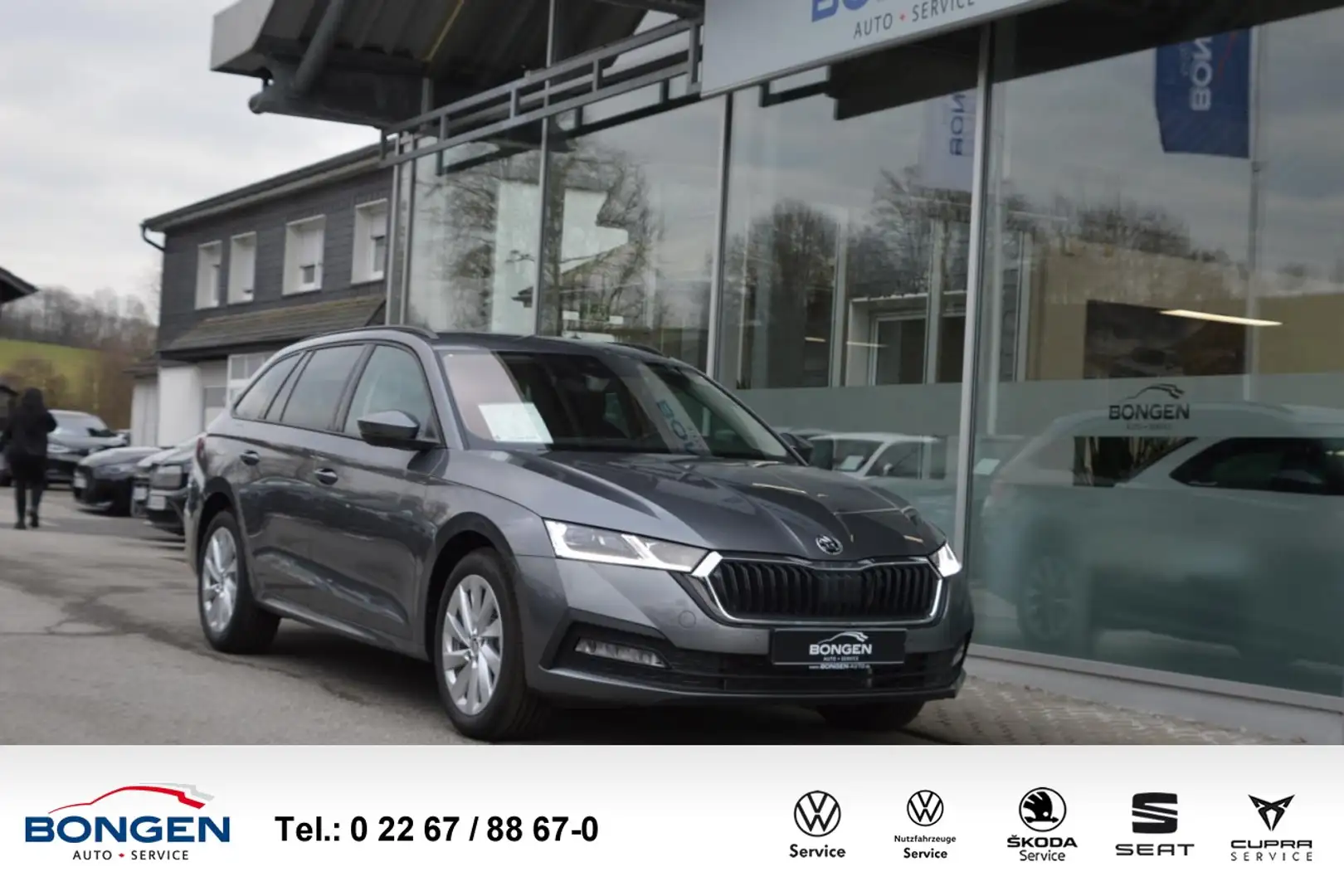 Skoda Octavia Co. 2.0 TDI Ambition 4x4 DSG Rückfahrkamera Klima Grau - 1