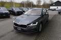 Skoda Octavia Co. 2.0 TDI Ambition 4x4 DSG Rückfahrkamera Klima Grau - thumbnail 5