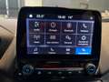 Ford EcoSport 1.0 ecoboost 125cv Titanium Grijs - thumbnail 13