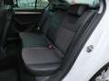 Skoda Octavia 1.0 TSI 115pk 5D Greentech Ambition Business | Pan Bílá - thumbnail 38
