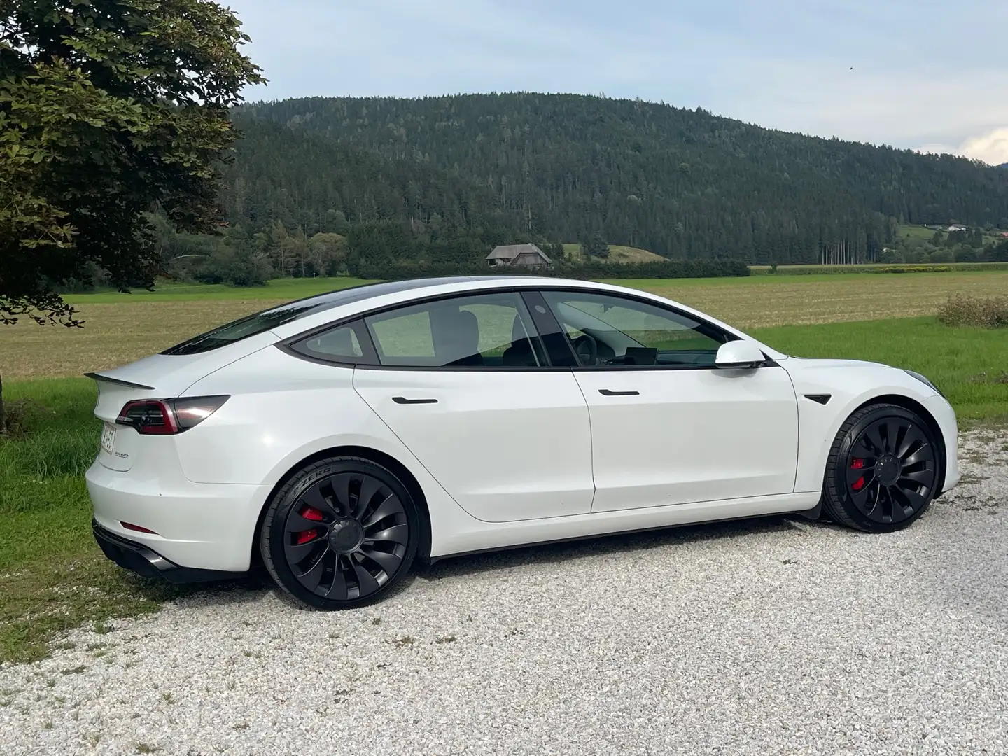 Tesla Model 3 Performance AWD 79,5 kWh Weiß - 2