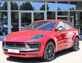 Porsche Macan T 2.0 Turbo/Chrono/LED/Carbon/CarConnect Rot - thumbnail 1