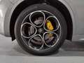 Alfa Romeo Stelvio 2.2 Veloce Q4 210 Aut. Gris - thumbnail 31