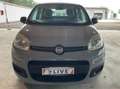 Fiat Panda Panda III  1.0 hybrid Easy s Grijs - thumbnail 2