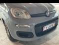 Fiat Panda Panda III  1.0 hybrid Easy s Grijs - thumbnail 12