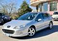 Peugeot 407 SW 2.0 hdi 16v Feline fap - thumbnail 3