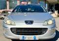 Peugeot 407 SW 2.0 hdi 16v Feline fap - thumbnail 2