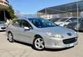 Peugeot 407 SW 2.0 hdi 16v Feline fap - thumbnail 1