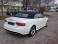 Audi A5 3.0 TDI quattro (176kW) S-Line Cabrio Weiß - thumbnail 3
