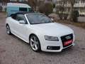 Audi A5 3.0 TDI quattro (176kW) S-Line Cabrio Weiß - thumbnail 4