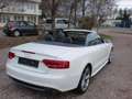 Audi A5 3.0 TDI quattro (176kW) S-Line Cabrio Weiß - thumbnail 14