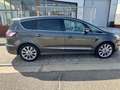 Ford S-Max Vignale 2.0TDCi AWD Powershift 180 Beige - thumbnail 1
