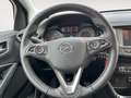 Opel Crossland X 1.2 Turbo 120 Jahre LM16,Kamera,Funk Gris - thumbnail 13