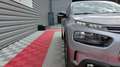 Citroen C4 Cactus PureTech 110 S&S BVM6 Shine Gris - thumbnail 10