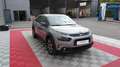 Citroen C4 Cactus PureTech 110 S&S BVM6 Shine Gris - thumbnail 2