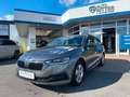Skoda Octavia Combi 2.0 TDI DSG SHZ+CarPlay+PDC Grau - thumbnail 3
