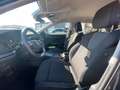 Skoda Octavia Combi 2.0 TDI DSG SHZ+CarPlay+PDC Grau - thumbnail 13