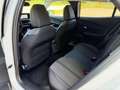 Peugeot 2008 1.5BlueHDi S&S Allure EAT8 130 Blanco - thumbnail 12