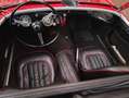 Austin-Healey 100 Bn1 Roadster - thumbnail 4
