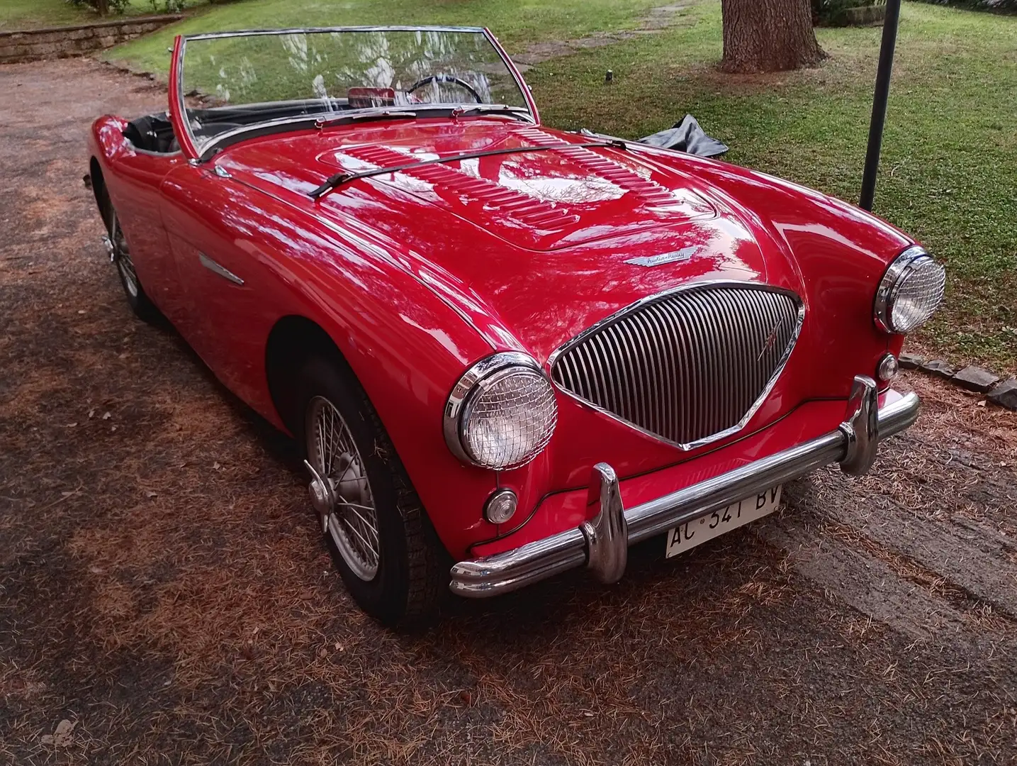 Austin-Healey 100 Bn1 Roadster - 1