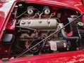 Austin-Healey 100 Bn1 Roadster - thumbnail 6