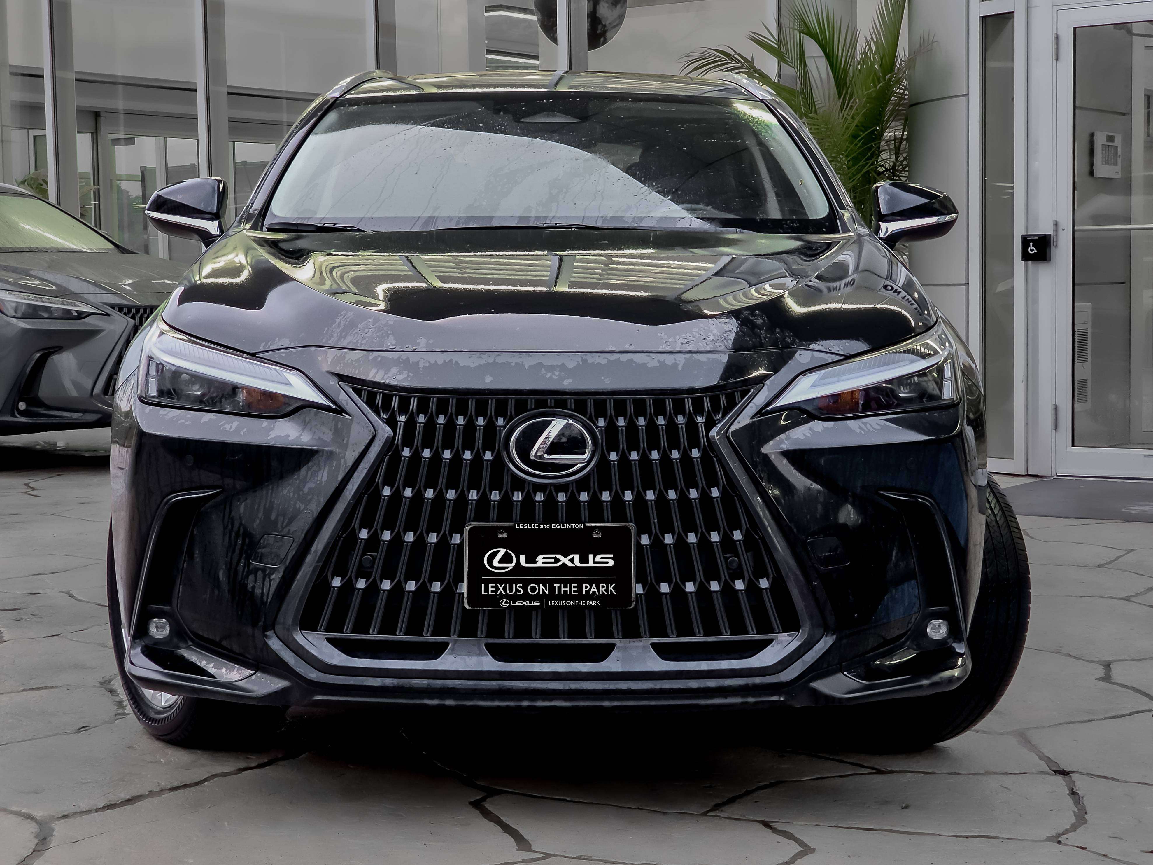2023 Lexus NX