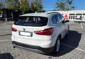 BMW X1 xDrive18d Business Bianco - thumbnail 5