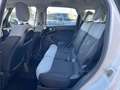 Fiat 500L 500L 1.4 Lounge 95cv OK NEOPATENTATI - thumbnail 13