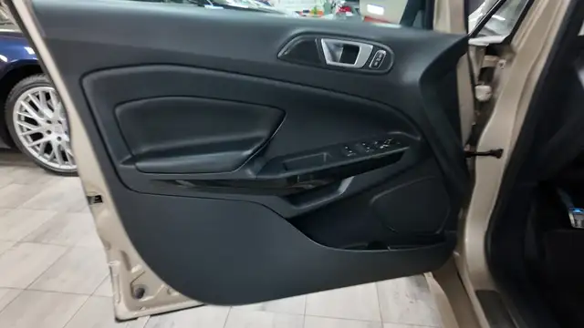 Ford Ecosport view 19