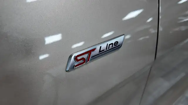 Ford Ecosport view 12