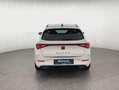 CUPRA Leon Basis 2.0 TSI*KLIMA*RFK*ACC*uvm Weiß - thumbnail 4