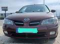 Nissan Almera Almera 1.5 Czerwony - thumbnail 1
