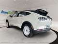 Ford Mustang Mach-E GT Crossover GT AWD Weiß - thumbnail 6