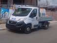 Fiat Ducato Cassonato Bianco - thumbnail 1