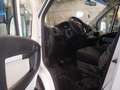 Fiat Ducato Cassonato Bianco - thumbnail 12