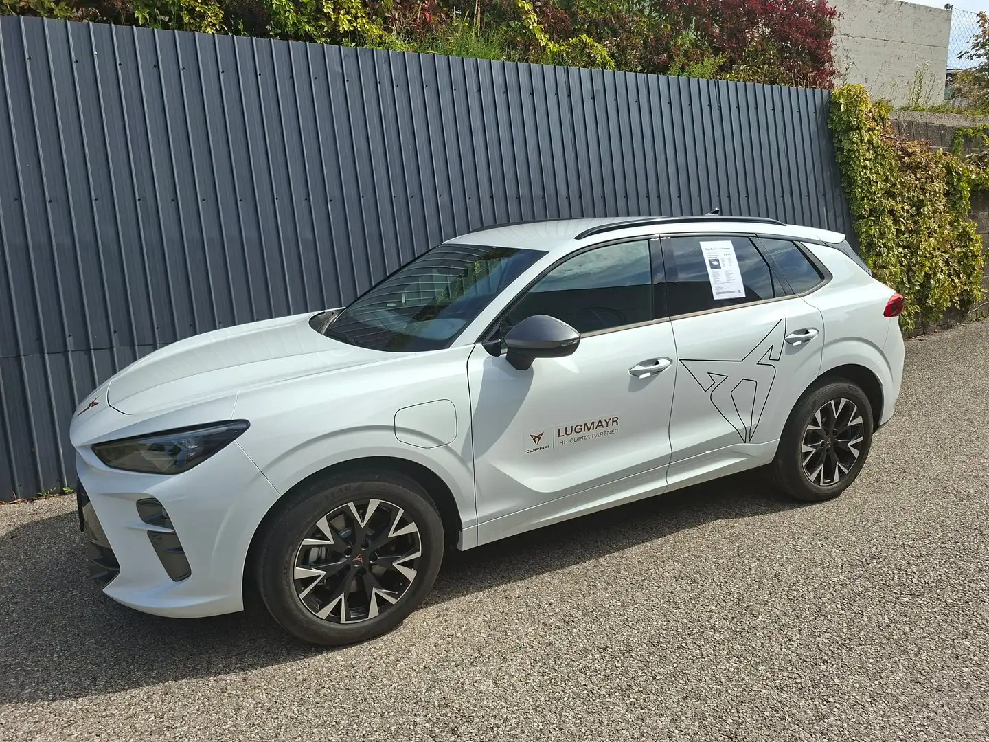CUPRA Terramar e-HYBRID 204 PS DSG Weiß - 1