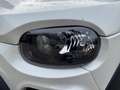 Microcar M.Go M.Go 6 X DCI Autofahren ab 15 Jahren Blanc - thumbnail 10