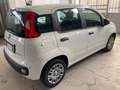 Fiat Panda Pandina 1.0 firefly hybrid Icon  - PREZZO REALE Bianco - thumbnail 4