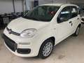 Fiat Panda Pandina 1.0 firefly hybrid Icon  - PREZZO REALE Bianco - thumbnail 1