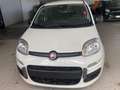 Fiat Panda Pandina 1.0 firefly hybrid Icon  - PREZZO REALE Bianco - thumbnail 2