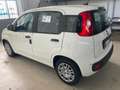 Fiat Panda Pandina 1.0 firefly hybrid Icon  - PREZZO REALE Bianco - thumbnail 6