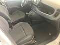 Fiat Panda Pandina 1.0 firefly hybrid Icon  - PREZZO REALE Bianco - thumbnail 12