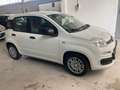 Fiat Panda Pandina 1.0 firefly hybrid Icon  - PREZZO REALE Bianco - thumbnail 3