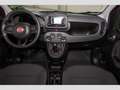 Fiat Panda Mild Hybrid 1.0 PDC Temp. Klima USB Rot - thumbnail 11