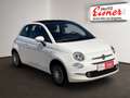 Fiat 500C 500 Cabrio 1.0 Dolce Vita LM PDC Weiß - thumbnail 17